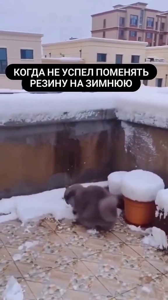 ,   !) - 2