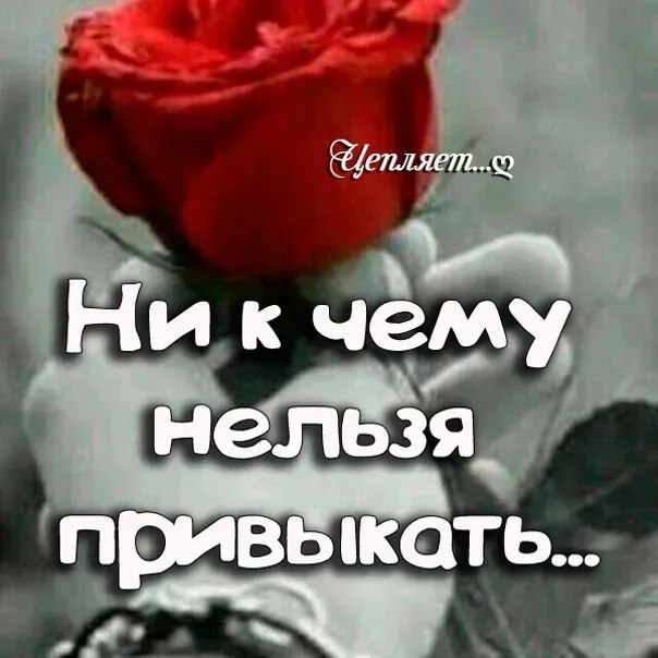  - 15  2025  22:16