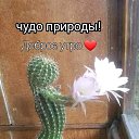 ���� �������, ������, 69 ��� - ��������� 16 ����� 2024 � ������ ���� ����������