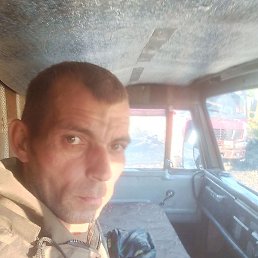 ����, �������, 40 ���