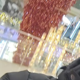 ������, ���������� �����, 38 ���