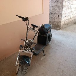 ����, �������, 33 ����