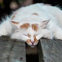 ���� ����, ������, 49 ��� - ��������� 10 ������� 2023 � ������ ���� ����������