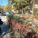  , , 70  -  18  2023   2923 