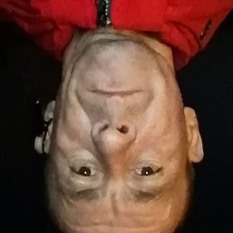 ������, ������, 48 ���