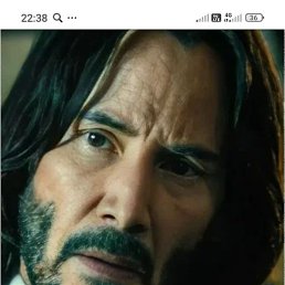 ������, ����, 41 ���