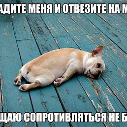 ��������, ��������, 54 ����