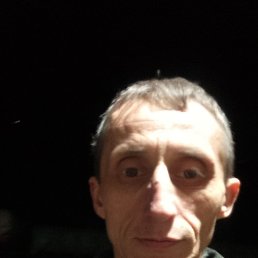, 40, 