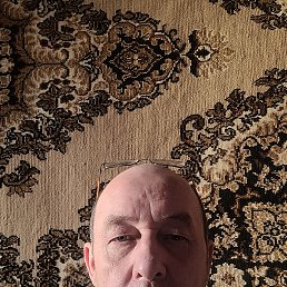 , 61, 