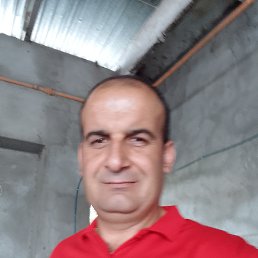 , 55, 