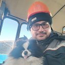 ���� �����, ��������, 38 ��� - ��������� 17 ����� 2026