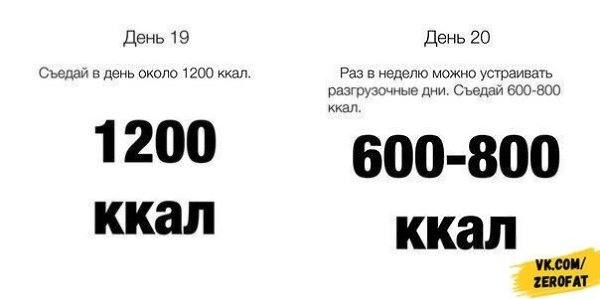 Переходим на правильное питание всего за 20 дней - 10