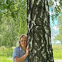 ���� �������, ����, 49 ��� - ��������� 26 ���� 2024 � ������ ���� ����������