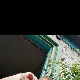 , 19, 