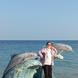 ��������, ������, 84 ����