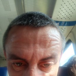 , 43 ,  