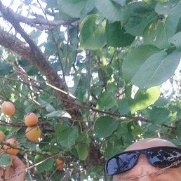 ���� �������, �����-���������, 50 ��� - ��������� 11 ����� 2026