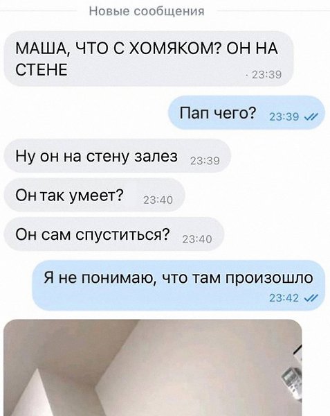 ��� ������