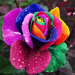 ���� ����, ����, 45 ��� - ��������� 5 ������� 2023