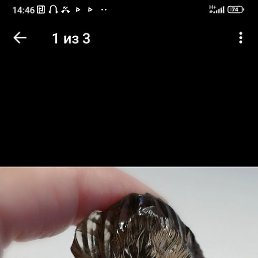 ����, ������, 61 ���