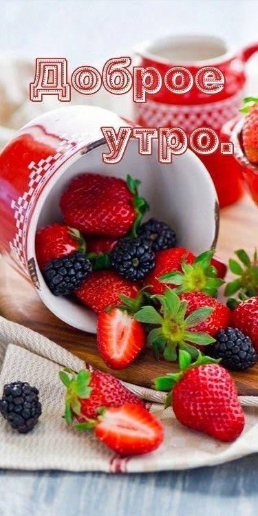 ***Victoria Viktorovna*** - 26  2024  04:16 - 2