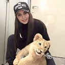 ���� �����, ������, 36 ��� - ��������� 11 �������� 2024 � ������ ���� ����������