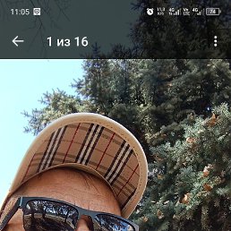 ����, 44 ����, ������