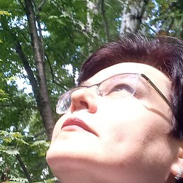 �������, �����������, 45 ���