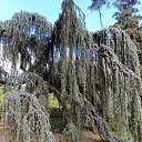 ���� ������, �����-��������� - ��������� 25 �������� 2025 � ������ ������ 2025�