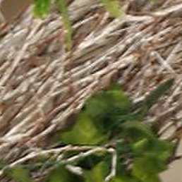 ��������, �����-���������, 59 ���