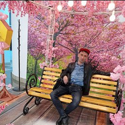 �����, ���������, 44 ����