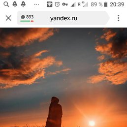 ���� �����, �������, 43 ���� - ��������� 8 ���� 2026