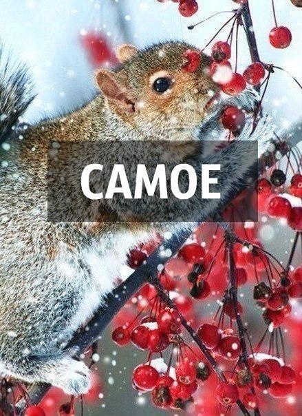    - 26  2025  20:47 - 3