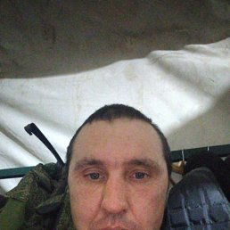 , 37, 