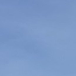 �������, ������, 61 ���