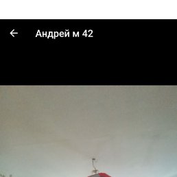  , , 43  -  21  2024