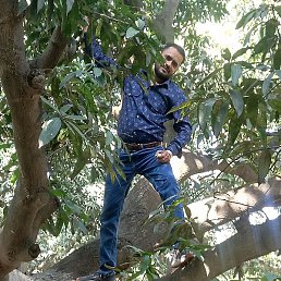 Nadim Khan, ����, 27 ���