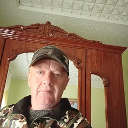 , 48, 