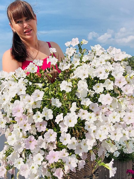 !  ,      . vk.com/iriskaogorodnica - 5