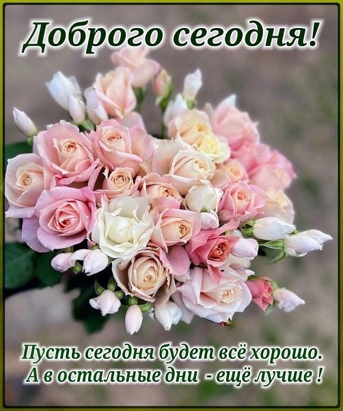 ОБО ВСЕМ - 12 октября 2025 в 12:42