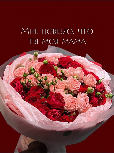 Подарите яркие эмоции и впечатления с Moulen Rose (вставить активную ссылку той соц.сети, где ... - 6