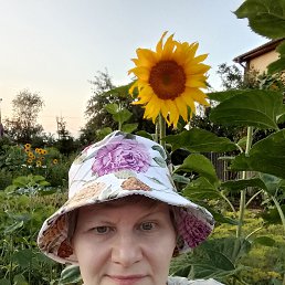  , 55, 