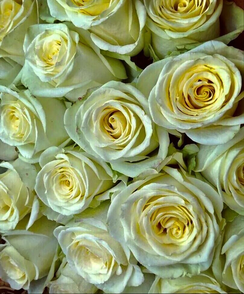  - 6  2023  23:17 - 9