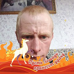 ������, �������, 37 ���