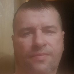 ����, �����������, 51 ���