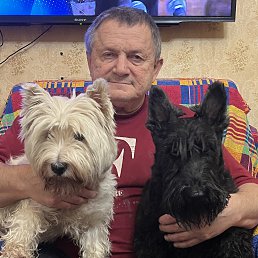 ���� �������, �������, 65 ��� - ��������� 19 ������� 2025