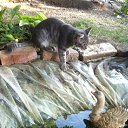 ���� ����, ������-��-����, 72 ���� - ��������� 18 ������ 2025 � ������ ������ ��������