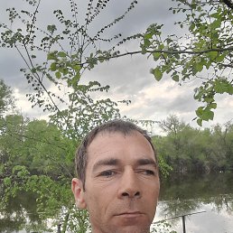 , 37, 