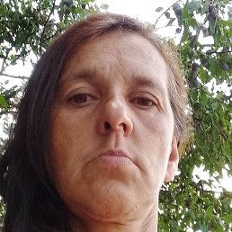 ������, ������-��-����, 45 ���