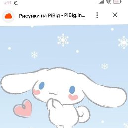 �����, �������������, 21 ���